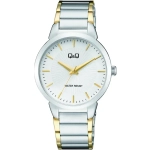 RELOJ Q&Q ANALOGO CABALLERO C38A-002PY
